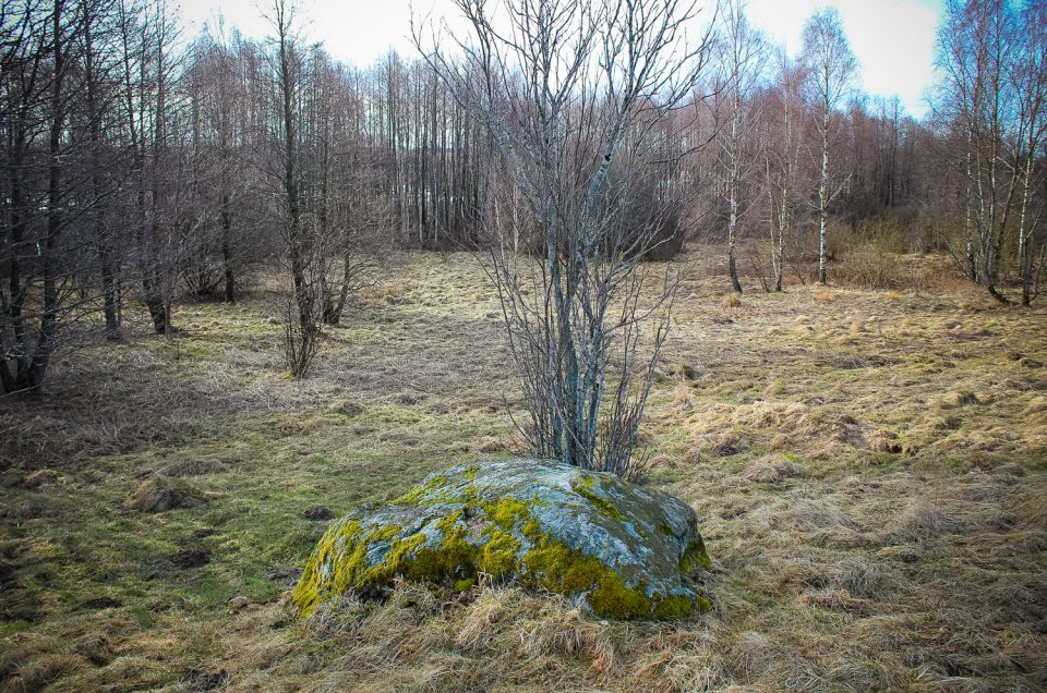 Pērkoni 2nd Cup-Marked Stone