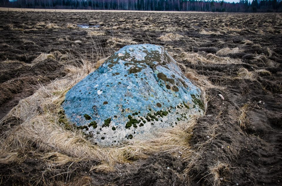 Vecvismini Cup-Marked Stone