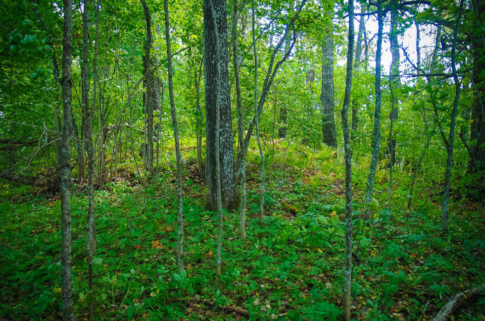 Baltiņi Devil’s Lap – stone layer