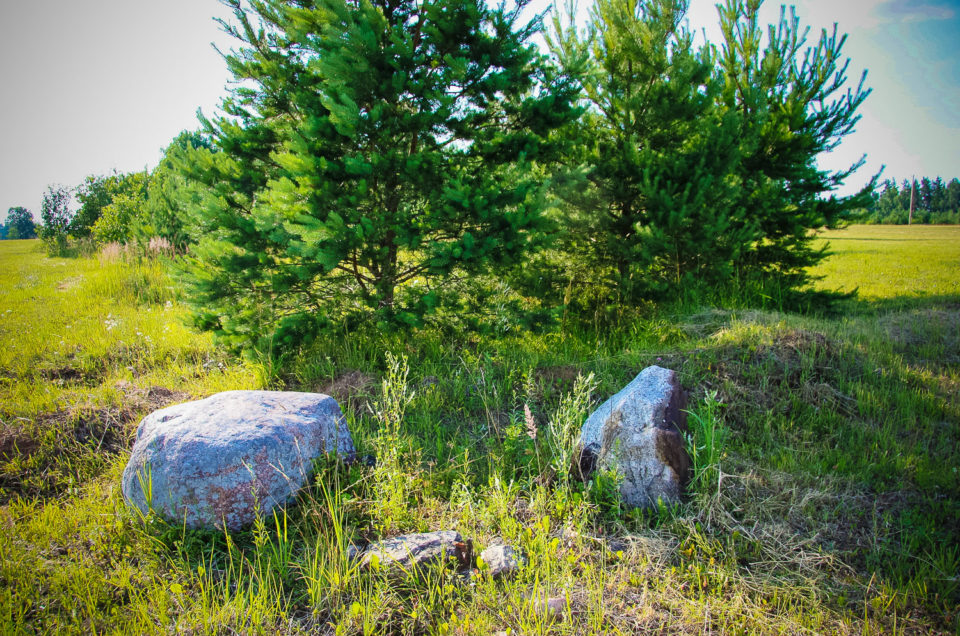 Kampas Ģūģeri Cult Stone