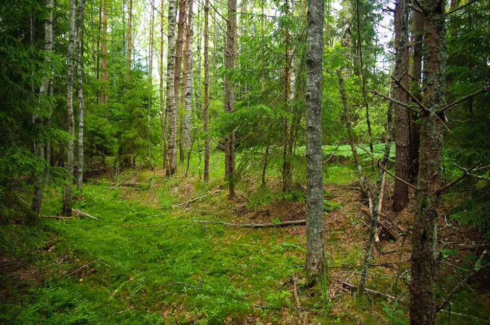 Līciems Burial Ground and Church Site