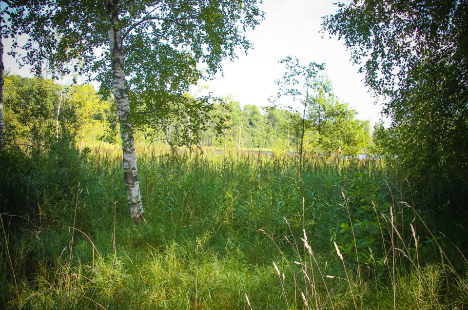 Rēveļas Ancient Burial Ground and Cult Site