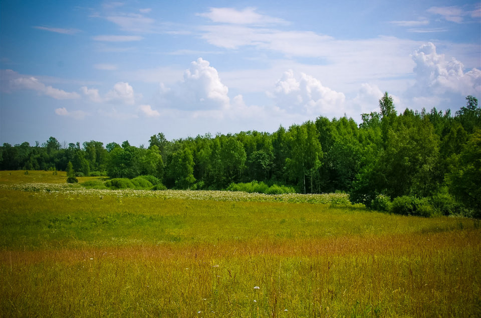 Ratnieki Idol’s Hill